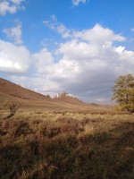 IMG_20190923_173435.jpg