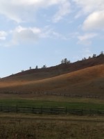 IMG-20190923-WA0077.jpg