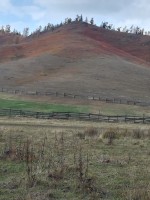 IMG-20190923-WA0080.jpg
