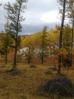 IMG-20190923-WA0081.jpg
