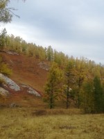 IMG-20190923-WA0082.jpg