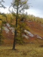 IMG-20190923-WA0087.jpg