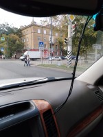 IMG_20190925_131004.jpg