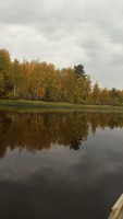 красота осени 2019г..р.Мулымья.jpg