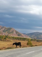 IMG-20191008-WA0021.jpg