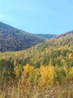 IMG-20191008-WA0018.jpg