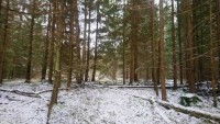 DSC_0041.jpg