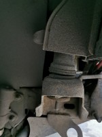 IMG_20191106_095530.jpg