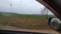 IMG_20191104_135346.jpg