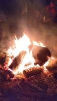 IMG_20191103_004750.jpg