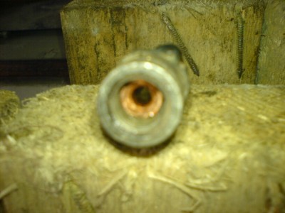 DSC07458.JPG