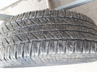 20191111_150239.jpg