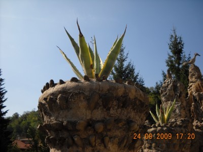 DSCN0953.JPG