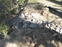 SwAAAgAGmOA-960.jpg