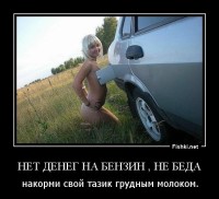 6856a3778da933cfce06da2e3b258d94.jpg