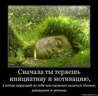 a8f666bfa0ebbdb268c4a1fd2fdc2716.jpg