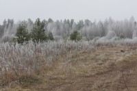 IMG_1716.jpg