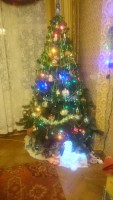DSC_1245.JPG