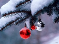 7F7C103D-393B-4470-82E9-666B6550BB77.jpeg