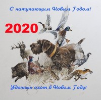 IMG-20191231-WA0033.jpg
