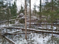 IMG-20200106-WA0017.jpg