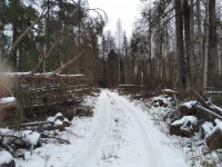 IMG-20200106-WA0014.jpg