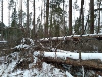 IMG-20200106-WA0010.jpg