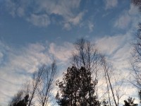 IMG-20200106-WA0006.jpg