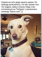 2770559647.jpg