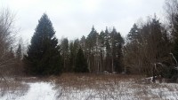 20200105_125344.jpg