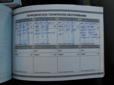 service5.jpg