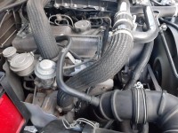 D9E1052C-C01D-4399-B079-6FA09304AA7F.jpeg