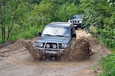 Дорога в Каргополь.jpg