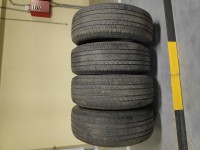 IMG_20191106_115114.jpg