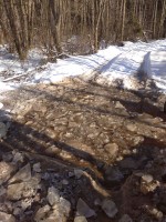 IMG_20200208_121725_1.jpg