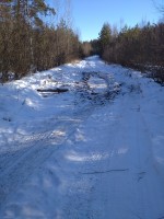 IMG_20200208_124638.jpg