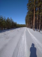 IMG_20200208_125903_1.jpg