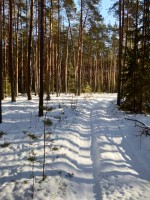 IMG_20200208_133445.jpg