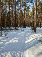 IMG_20200208_133512.jpg