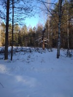 IMG_20200208_141424.jpg