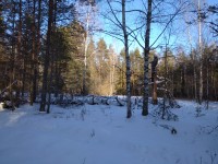 IMG_20200208_141506_1.jpg