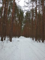 IMG_20200209_151046.jpg