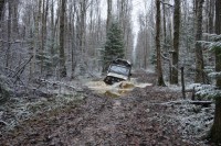 img_4457_resize.jpg
