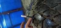 IMG_20200211_204759.jpg