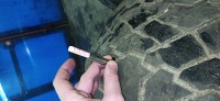IMG_20200211_204812.jpg