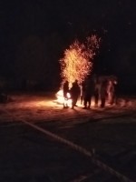 IMG_20200228_224220.jpg