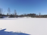 IMG_20200229_113027.jpg
