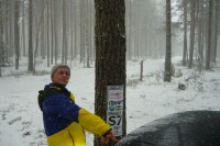 раз она, тогда еще так ))