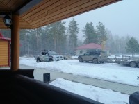 IMG_20200229_174310.jpg