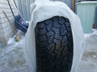 IMG_20200301_155553.jpg